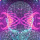 What You Need to Know About 5-MeO-DMT