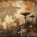 A Global History Of Psychedelics