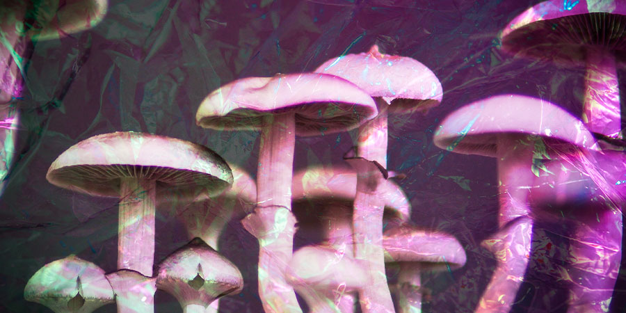 Are Magic Mushrooms Addictive?