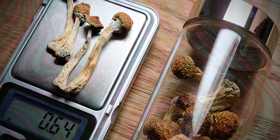 Et Pour Le Microdosage Des Champignons À Psilocybine ?