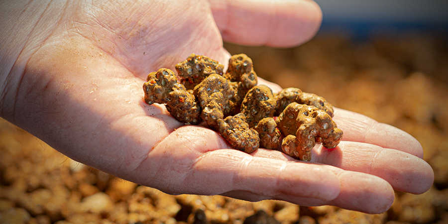 Booster Sa Créativité Avec Les Truffes Magiques