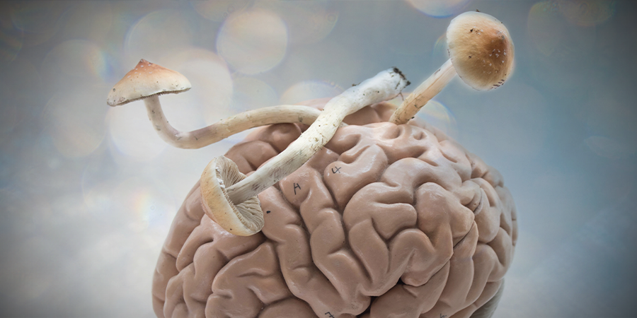  Psilocybin May Assist Treatment-resistant Depression