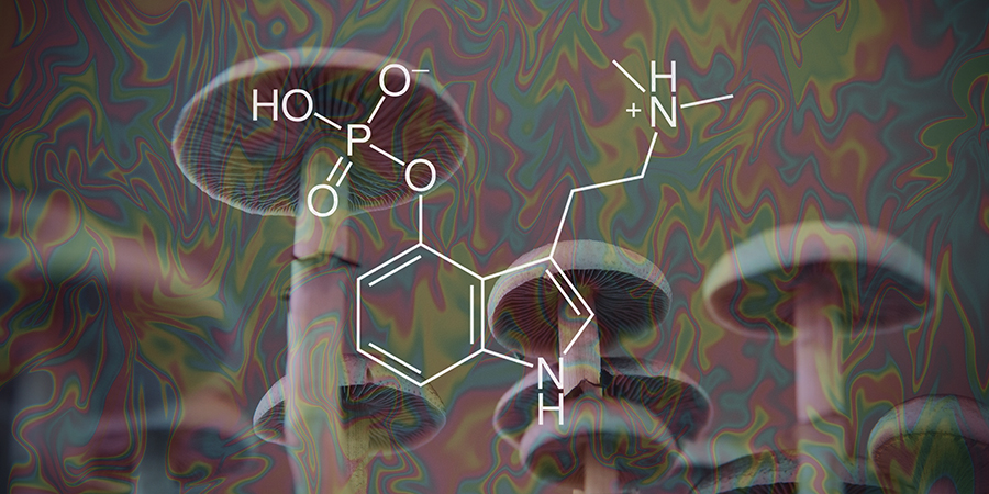 ¿Qué Es La Psilocibina?