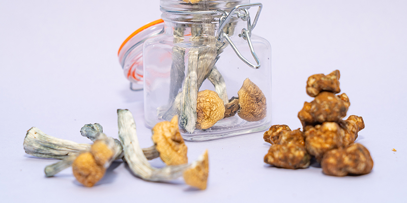 How To Dry Magic Mushrooms And Magic Truffles