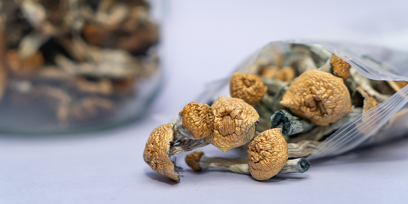 Why Is It Important To Store Magic Mushrooms And Truffles Correctly?