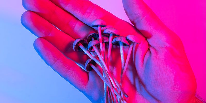 What Causes Hallucinations?