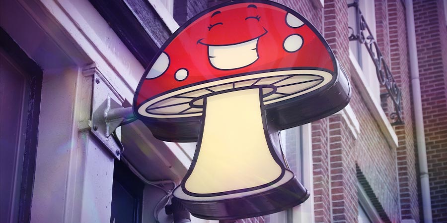 Psychedelische Paddenstoelen Vandaag De Dag