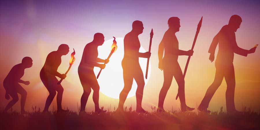 Waren Zauberpilze An Der Menschlichen Evolution Beteiligt?