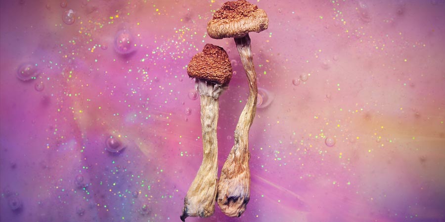 Cosa Riserva Il Futuro Per I Funghi Allucinogeni?