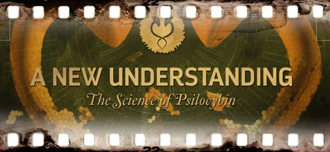 A New Understanding: The Science of Psilocybin