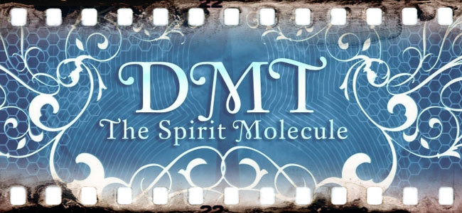 DMT: The Spirit Molecule