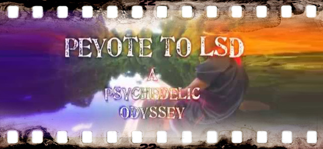 Peyote to LSD: A Psychedelic Odyssey