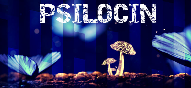 PSILOCIN