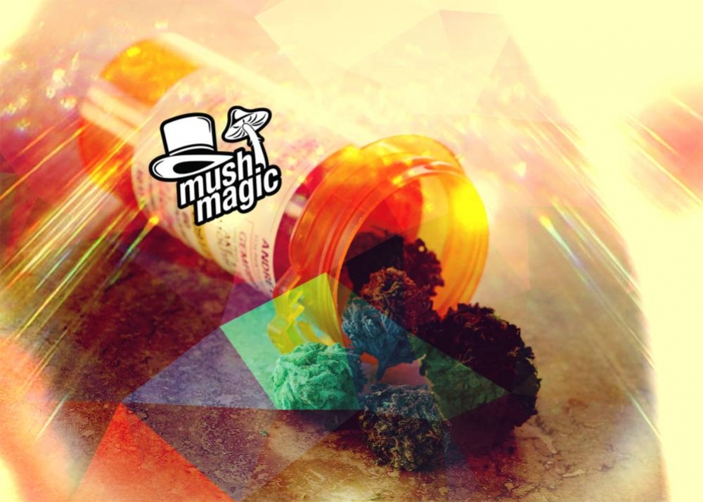 Will Psychedelics Follow In Weed's Footsteps? 