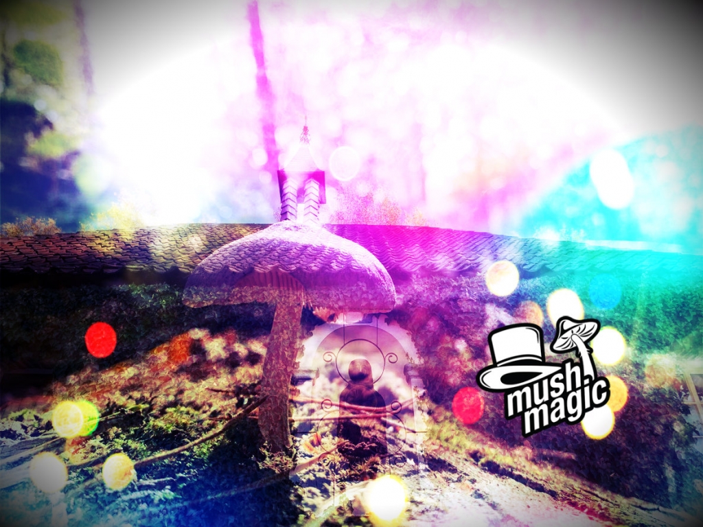Using Mind-Bending Psychedelics To Treat Mental Illness 