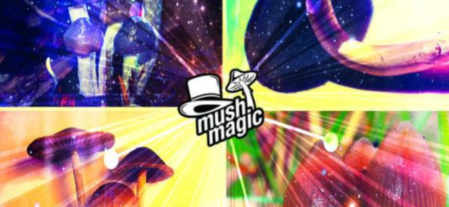A Guide To 4 Popular Psilocybin Mushrooms And Their Effects