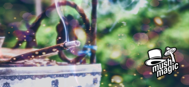 The Ultimate Incense Guide