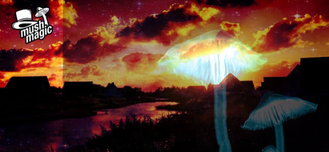 Psychedelic Psilocybin Therapy For Depression