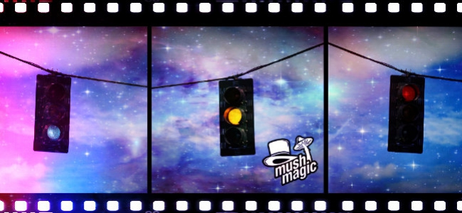 What Are Trip Stoppers And How Do They Work?