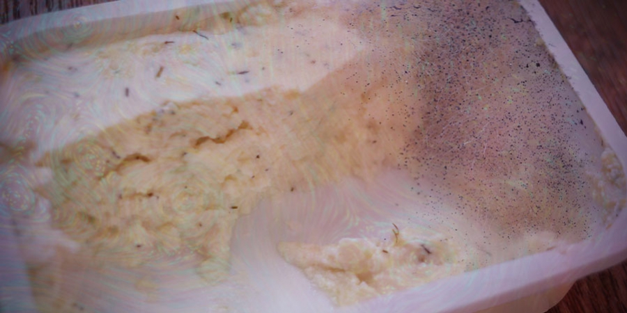 How To Reuse Your Spent Mycelium Cakes 