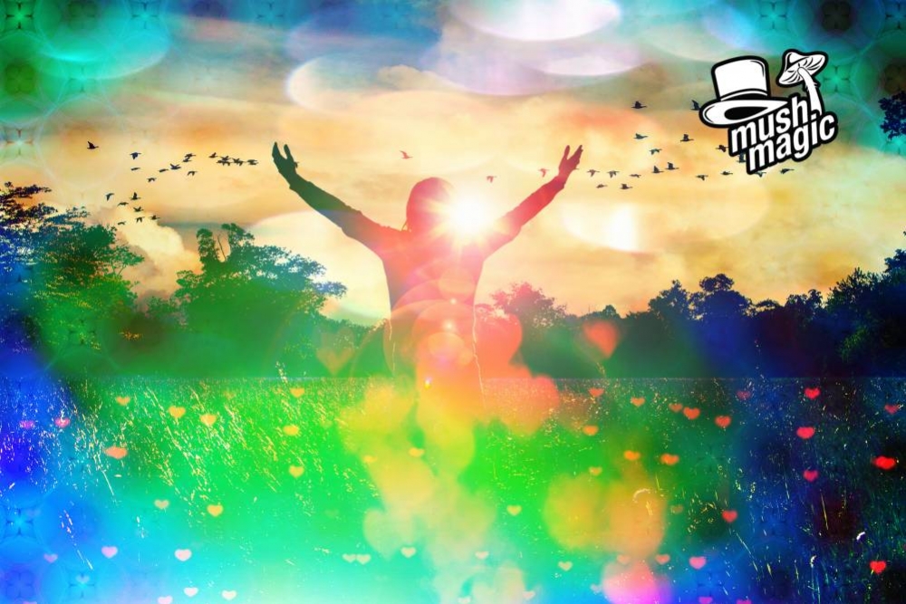 Magic Mushrooms: A Cure For Addiction?