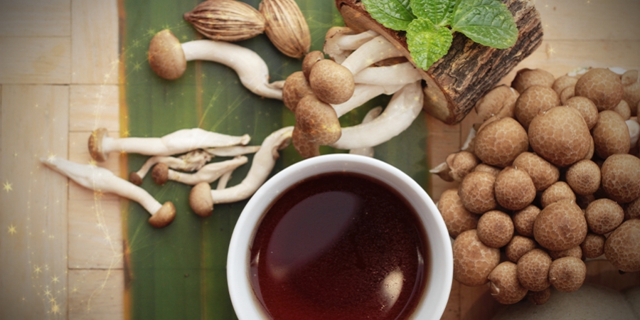 The Easy Way To Make Magic Mushroom Tea