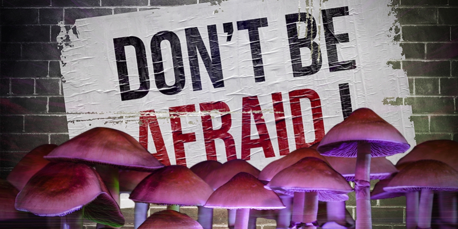 Why You Shouldn’t Be Afraid Of A Bad Trip On Magic Mushrooms