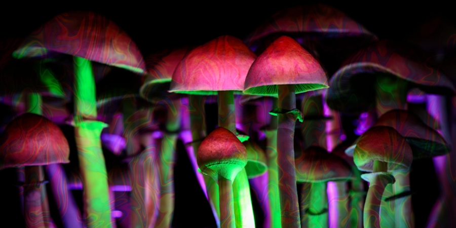 How Does Psilocybin Work? 