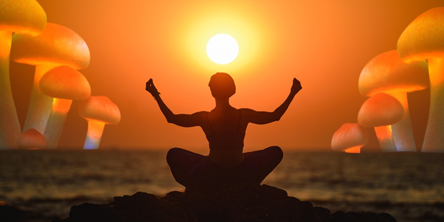 Combining Magic Mushrooms With Yoga: A Match Made In Heaven 