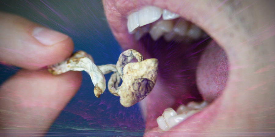 Can You Get Addicted To Magic Mushrooms? 
