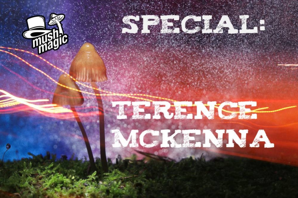 The Life And Mind Of Terence McKenna