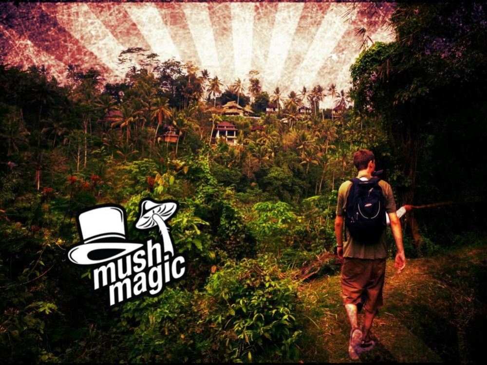 Bali & Magic Mushrooms: Tripping In The Tropics