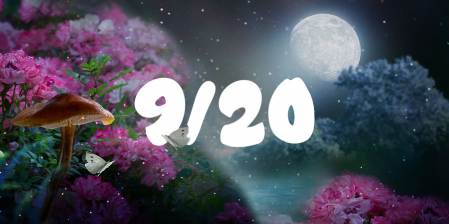 9/20: The 4/20 of Magic Mushrooms