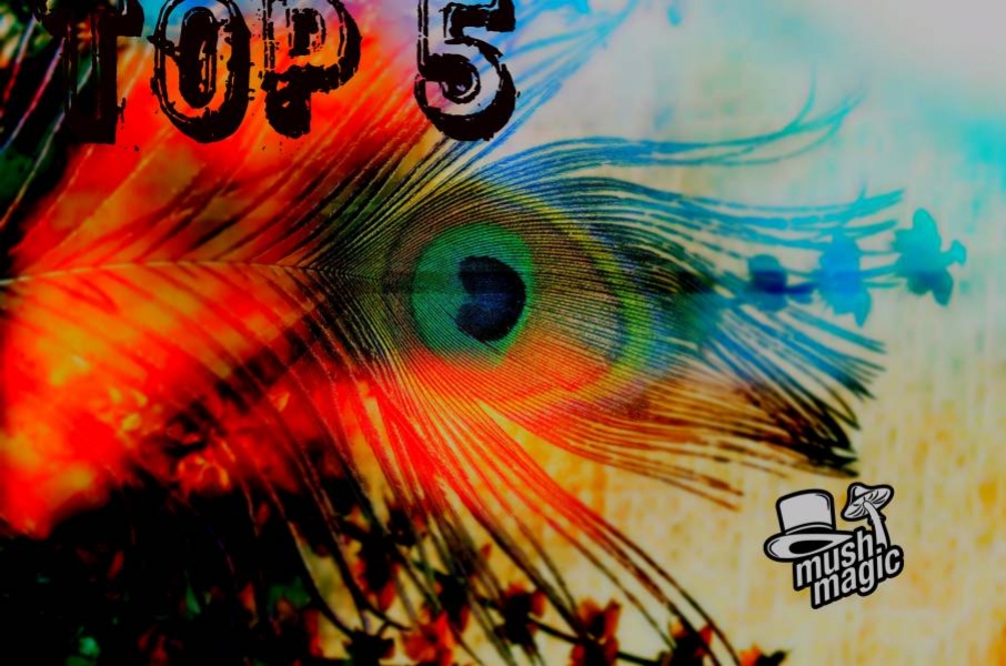 Top 5 Strongest Magic Truffles