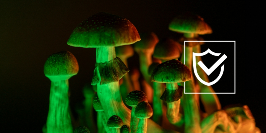 Tips For A Safe Magic Mushroom Trip