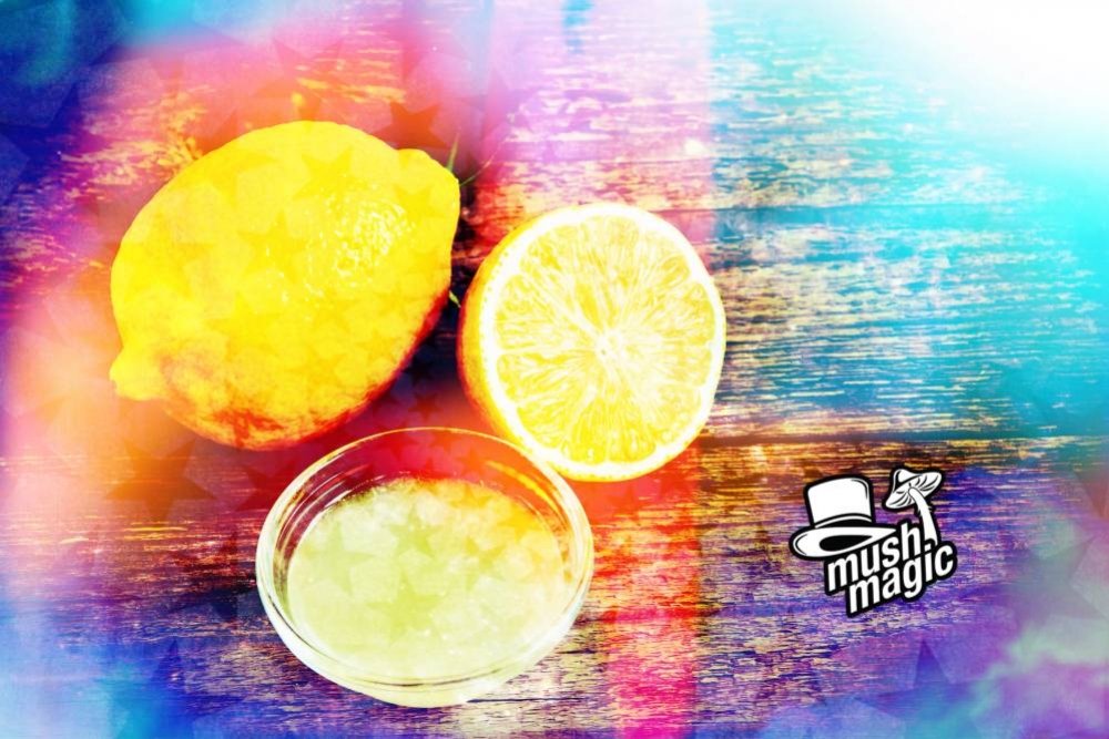 Magic Mushroom Lemon Tek: A Way to Trip Harder