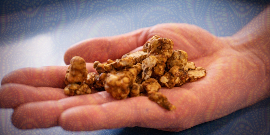 How To Avoid A Bad Trip With Magic Truffles