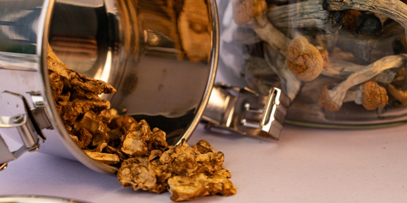 How To Store Magic Mushrooms & Magic Truffles
