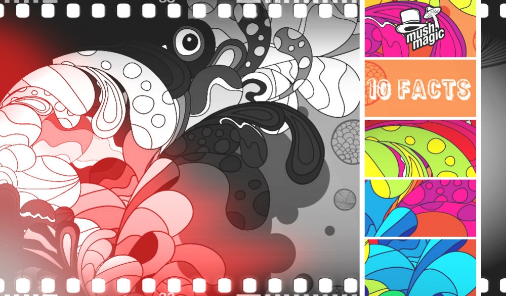 Ten Fascinating Facts About Magic Mushrooms And Truffles