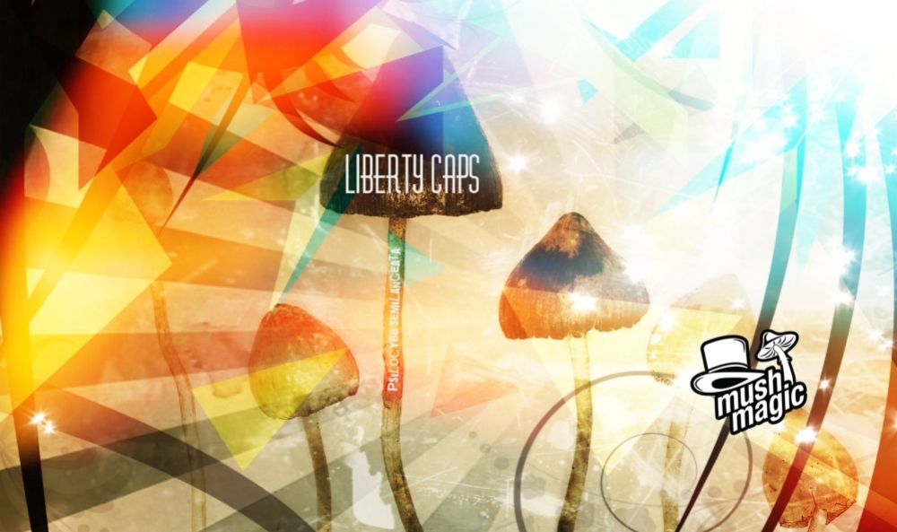 Liberty Caps: A Famous Magic Mushroom
