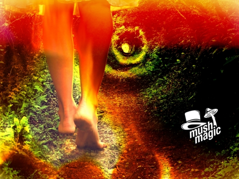 Can Magic Mushrooms Help To Fight Fears?