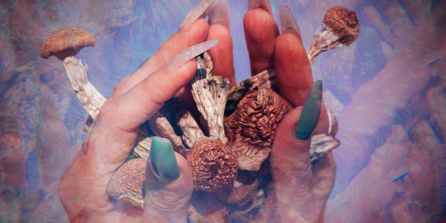 The Life And Work Of Terence Mckenna 