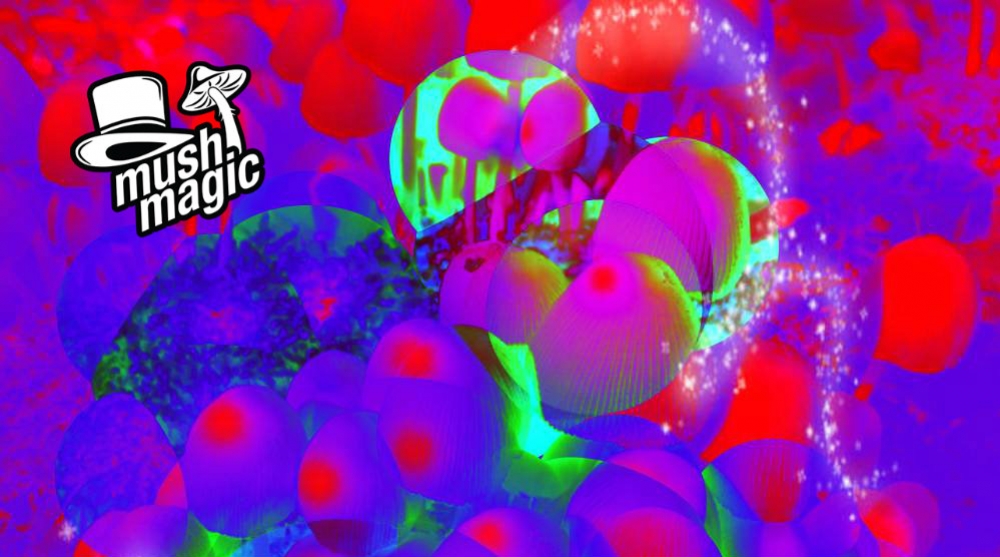 The Difference Between Psilocybin & Psilocin
