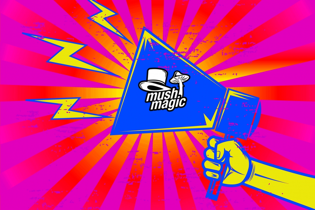 5 Ridiculous Myths Surrounding Psychedelics
