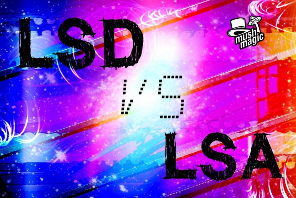 What Is The Difference Between LSA and LSD?