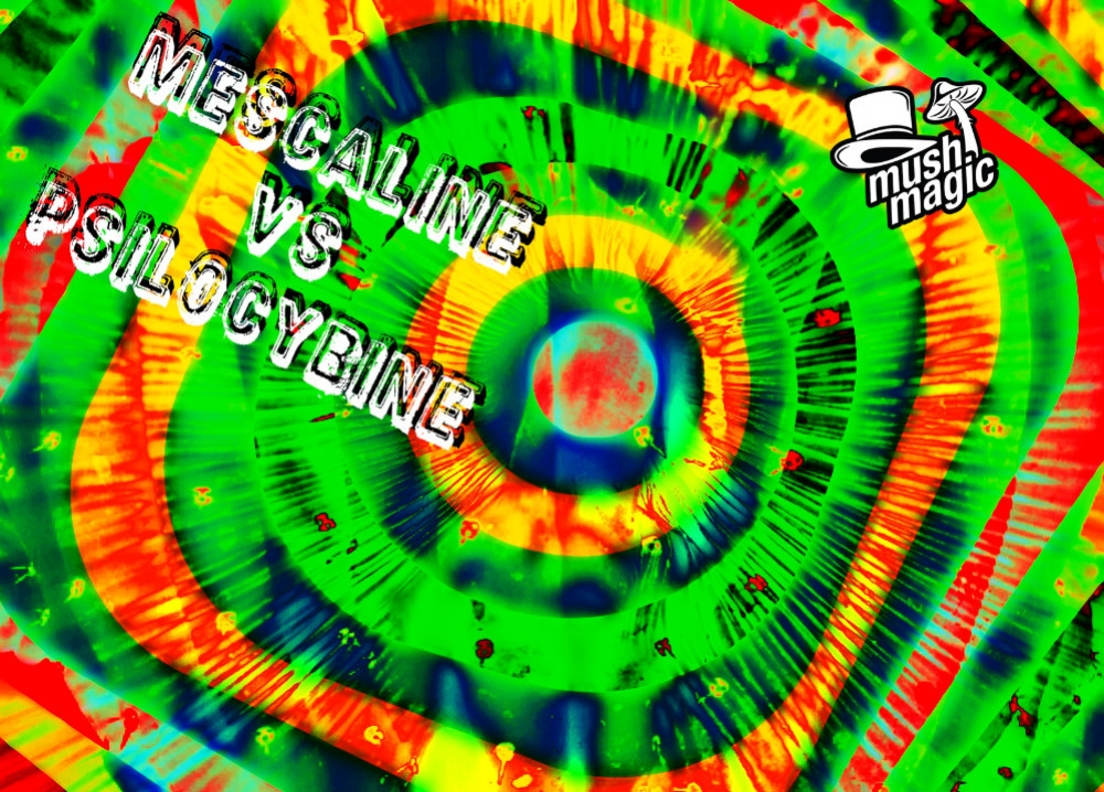 Mescaline vs Psilocybine