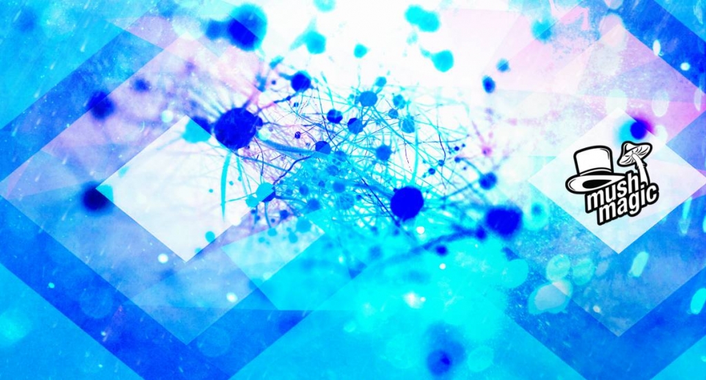 Psilocybin Promotes The Growth Of New Brain Cells