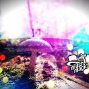 Using Mind-Bending Psychedelics To Treat Mental Illness 