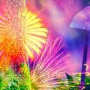 Breaking Down The 4 Components Of Magic Mushrooms