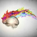 Cool Video: How Magic Truffles Interact With The Brain